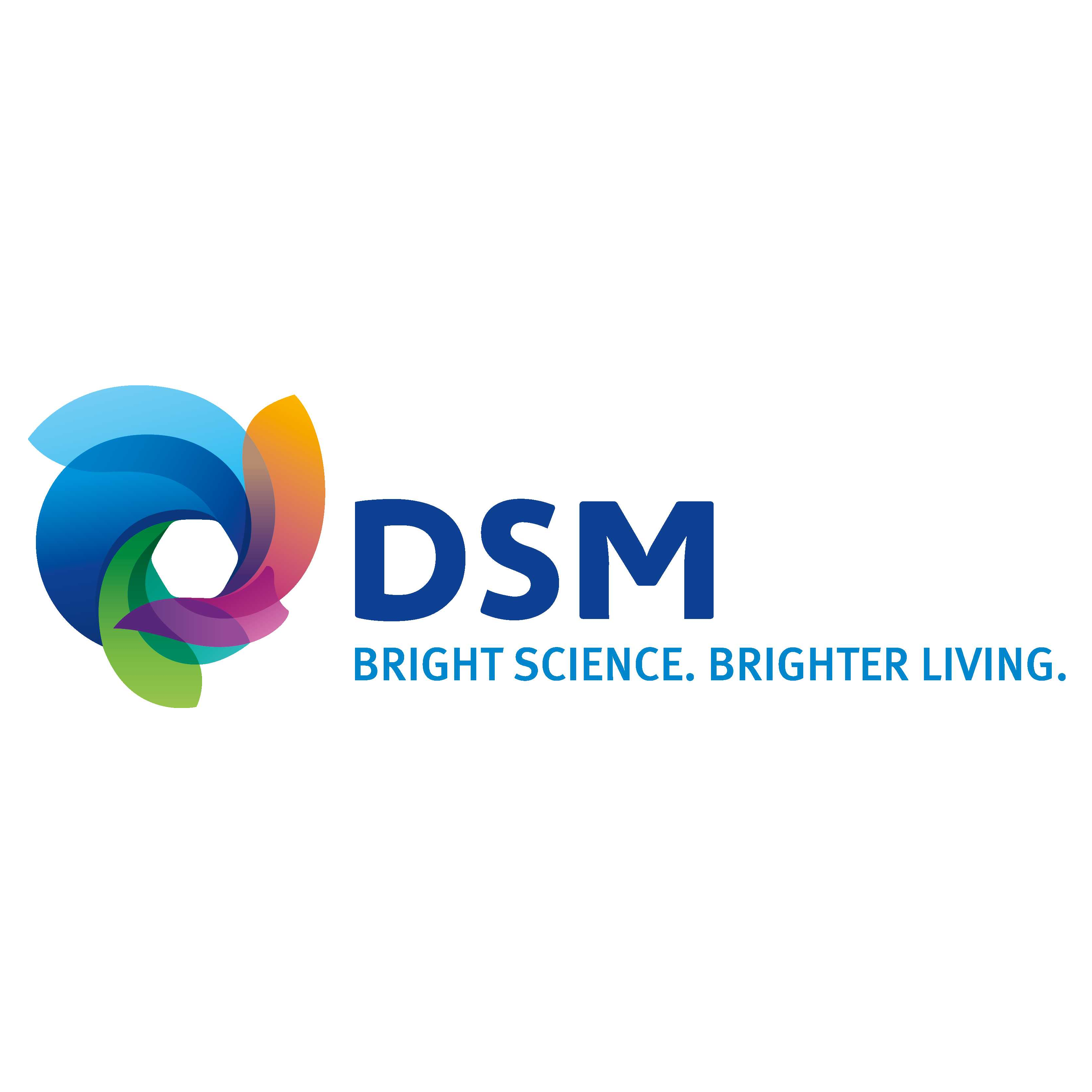 DSM